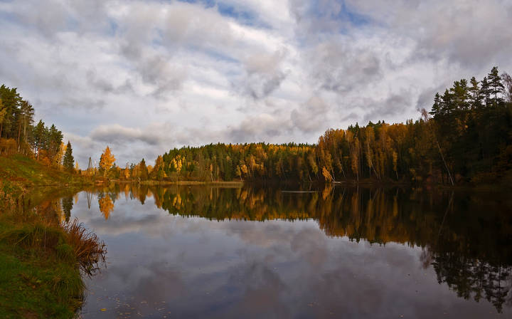 Палитра осени