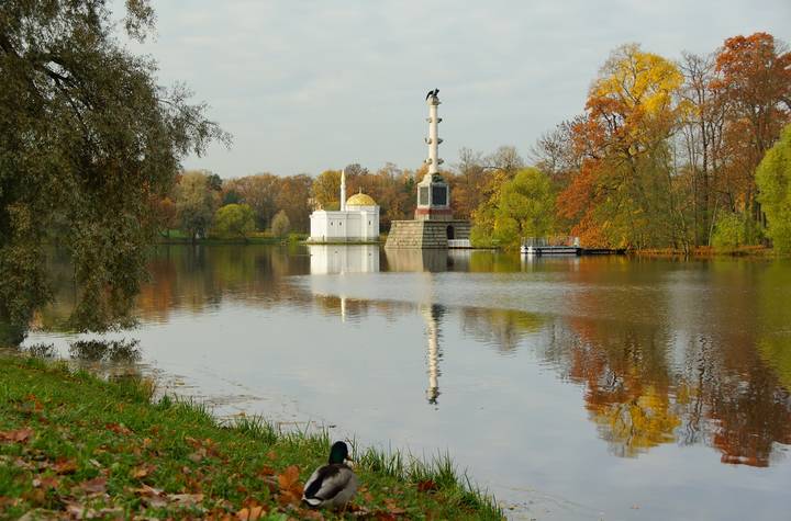 Осеннее утро...