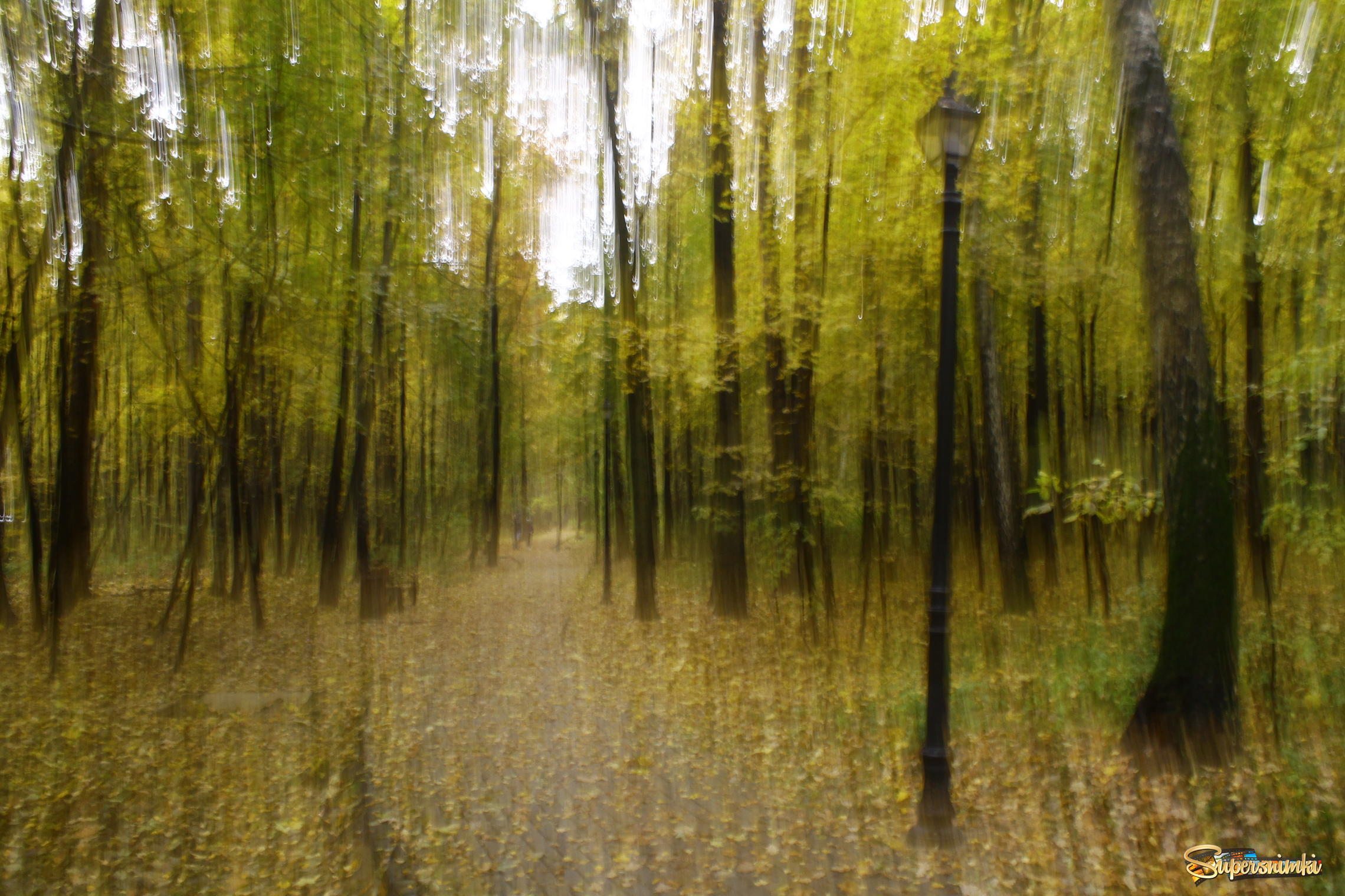 Осень в Филёвском Парке