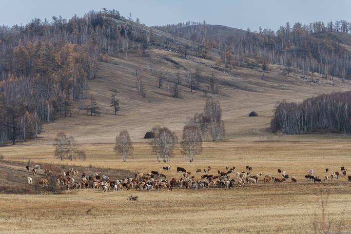 Осенняя Хакасия