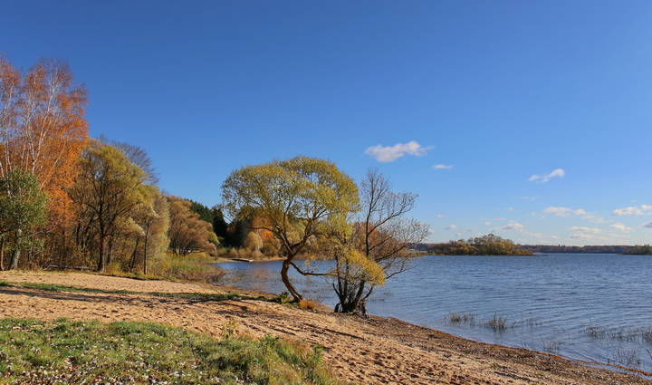  Краски осени