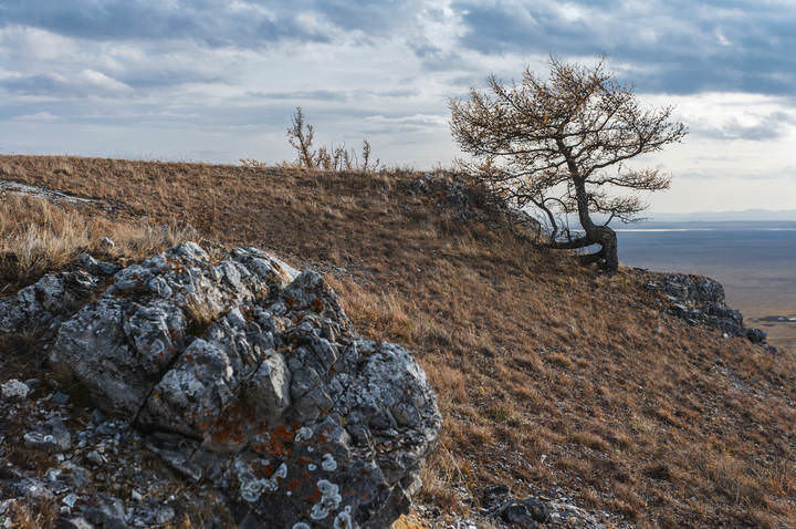 # 1