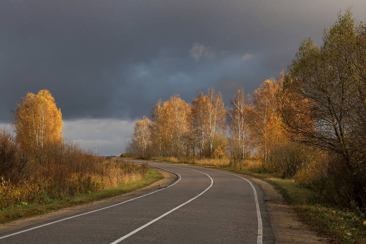 Дорога в осень