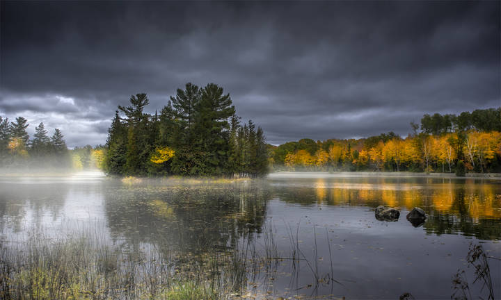 Transparent Autumn 