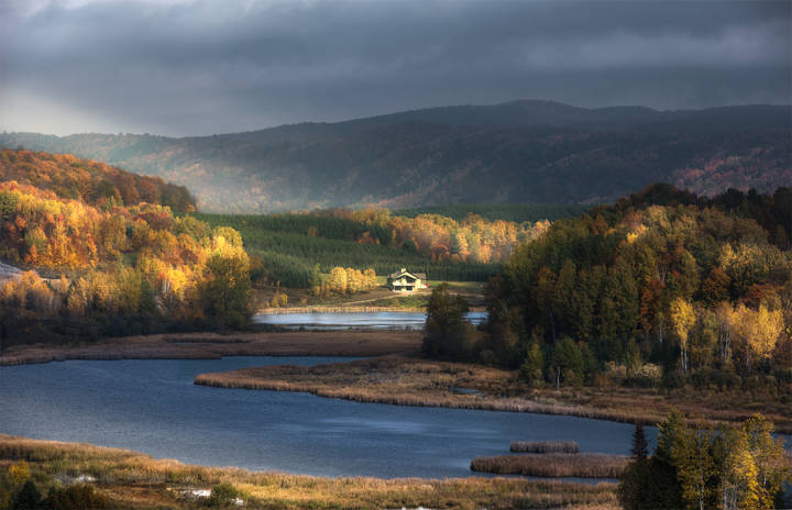 Transparent Autumn