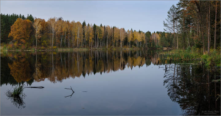 Осень на лесном озере