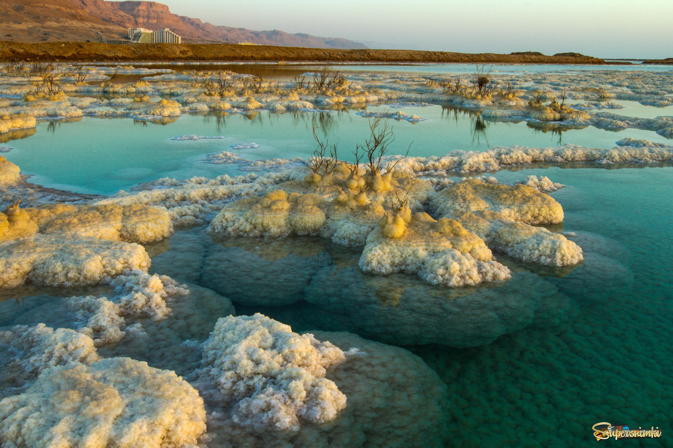 Мертвое море самая низкая. Галофиты мертвого моря. Солончаки мертвого моря.