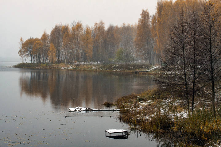 Первый снег , туманного утра