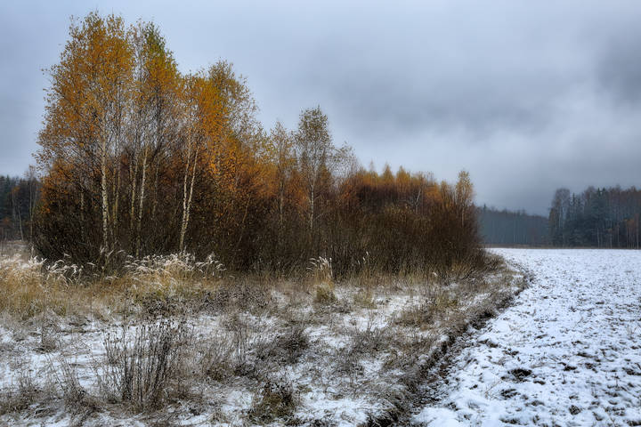 Предзимье