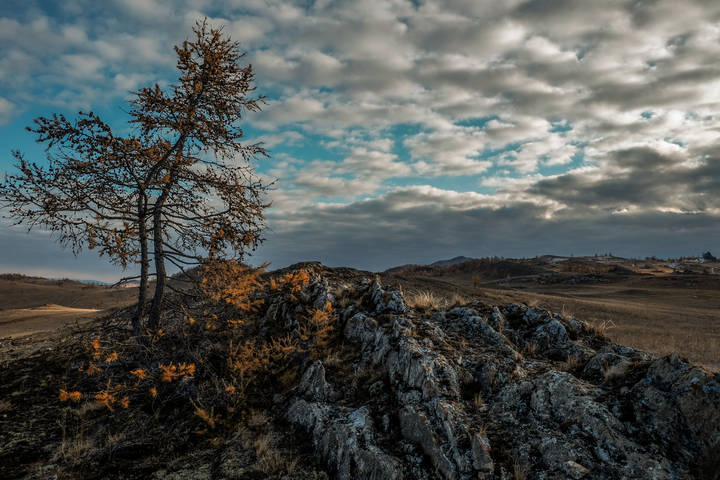 На холмах Тажеранской степи. Прибайкальский национальный парк.