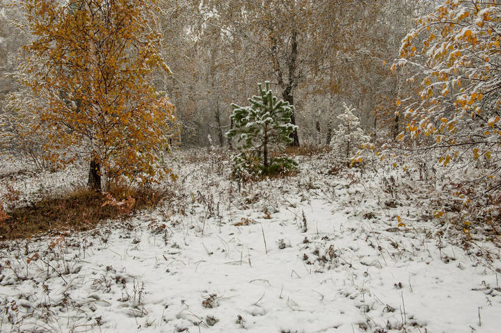 Осень