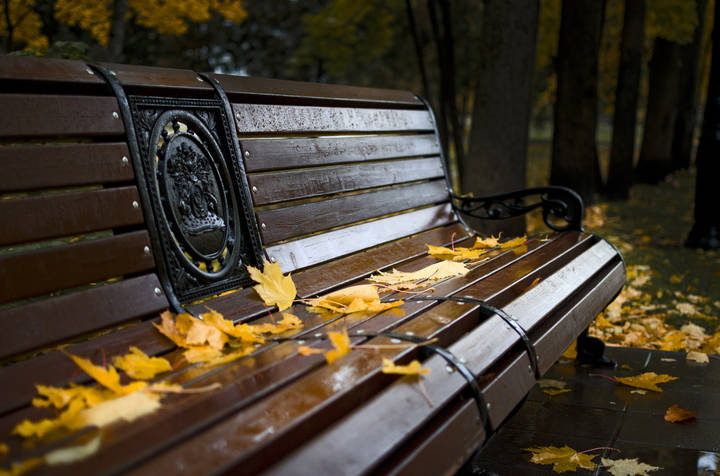 Про скамейку в Останкино