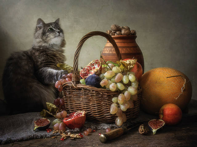 Ревизия фруктовой корзины