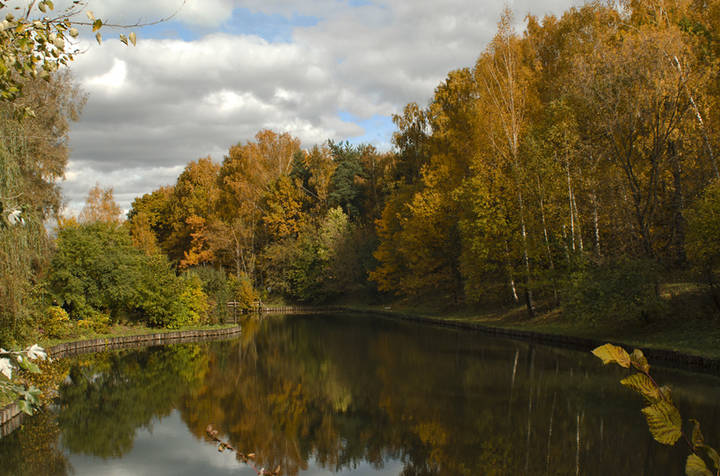 Осень в Сокольниках