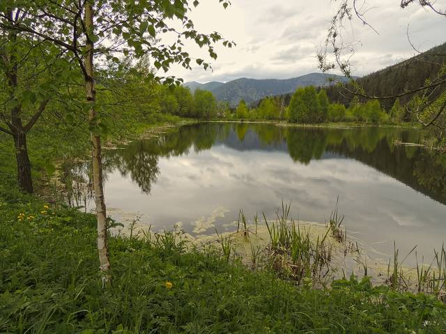 В Карпатах