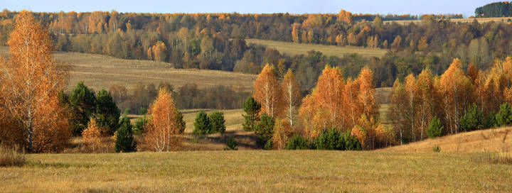 Панорама золотой осени