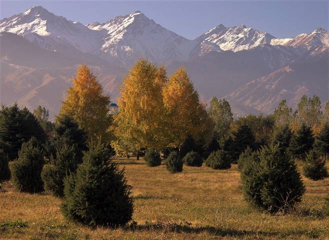 В предгорьях Алатау.