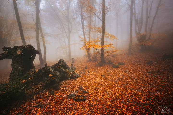 Осень