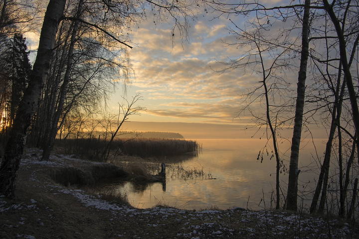 Морозное утро