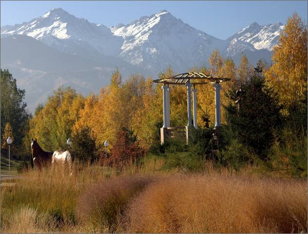 Разноцветная осень.