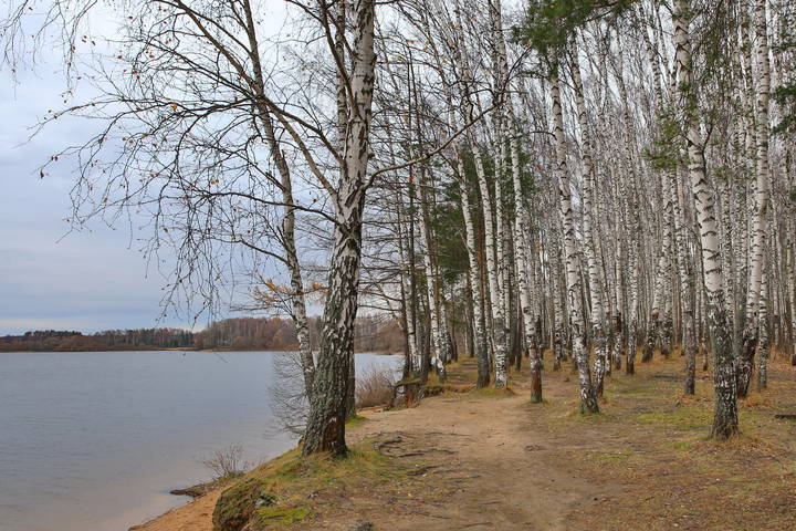  Осень
