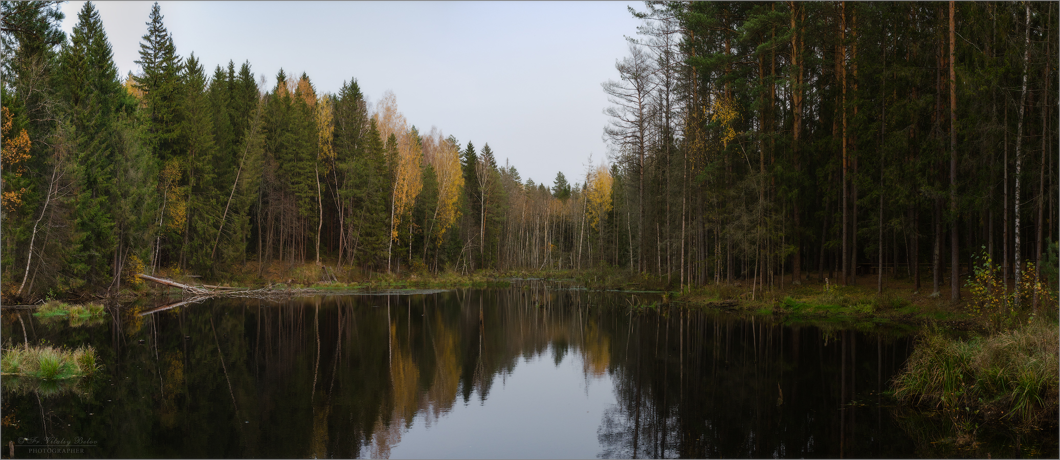 Осенний покой на лесном озере