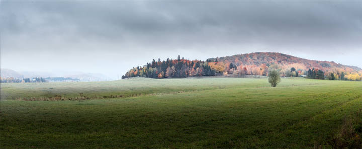 Transparent Autumn