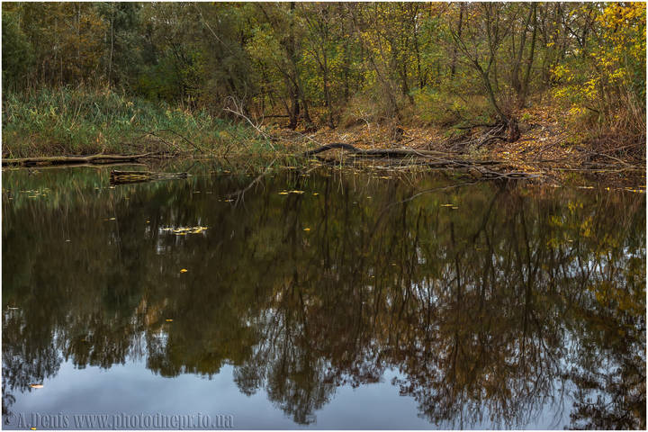 Осенний мотив
