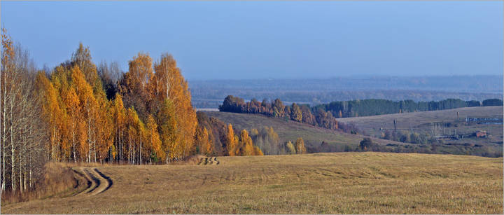 Последние деньки золотой осени