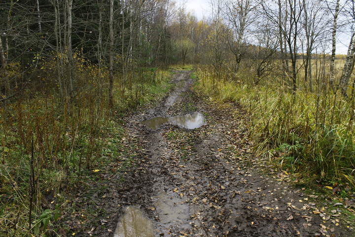Осень
