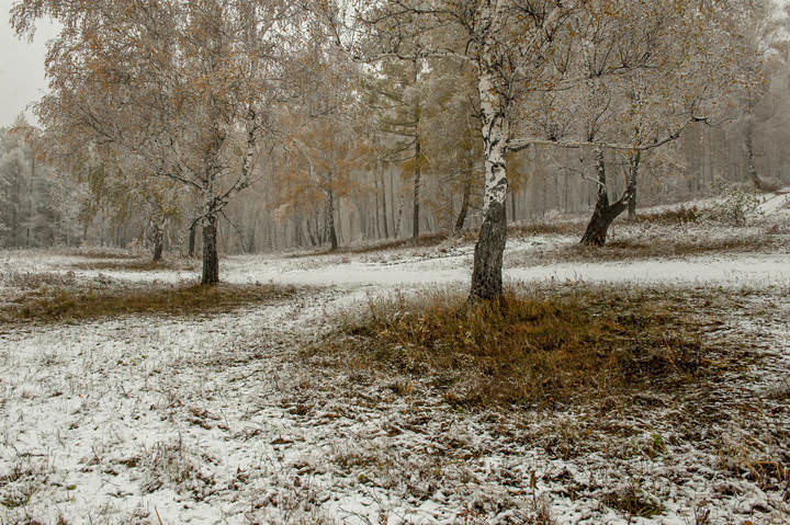 Осень в снежном наряде
