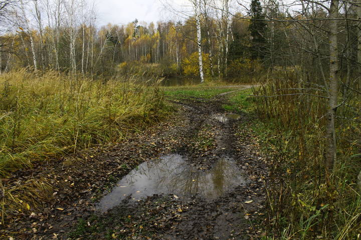 Осень