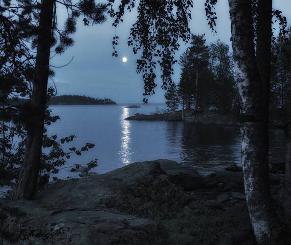 Лунная ночь 