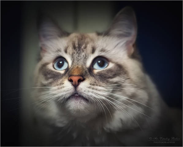 Отслеживая цель