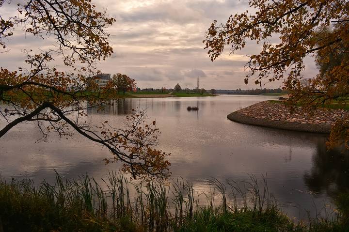 В рамках осени