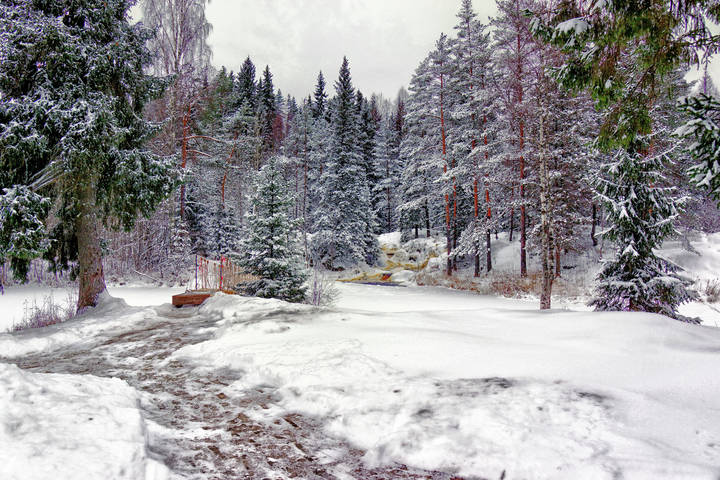 ЗИМА  в КАРЕЛИИ