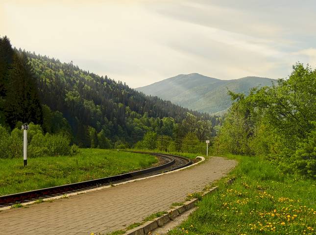 В Карпатах