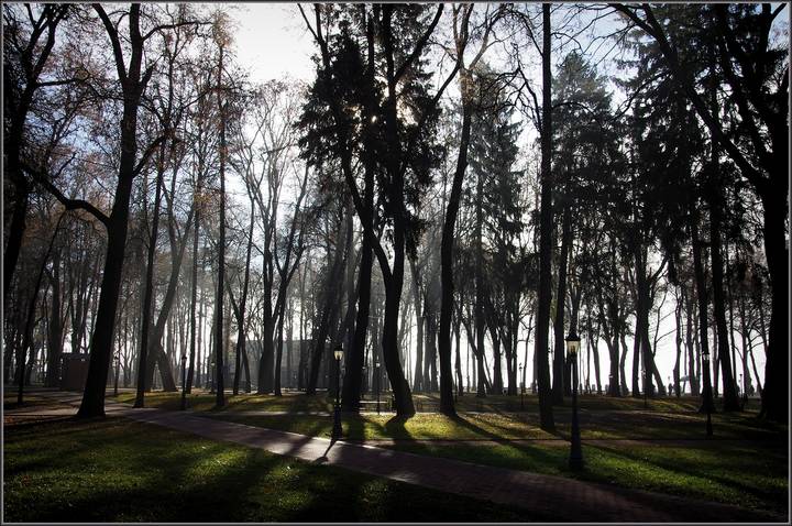 Раннее туманное утро