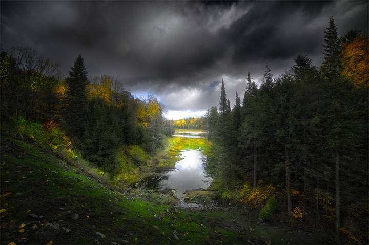 Transparent Autumn