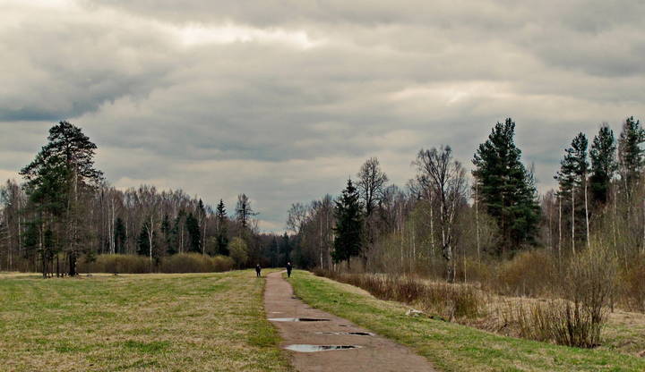 Дорога в Александровку.