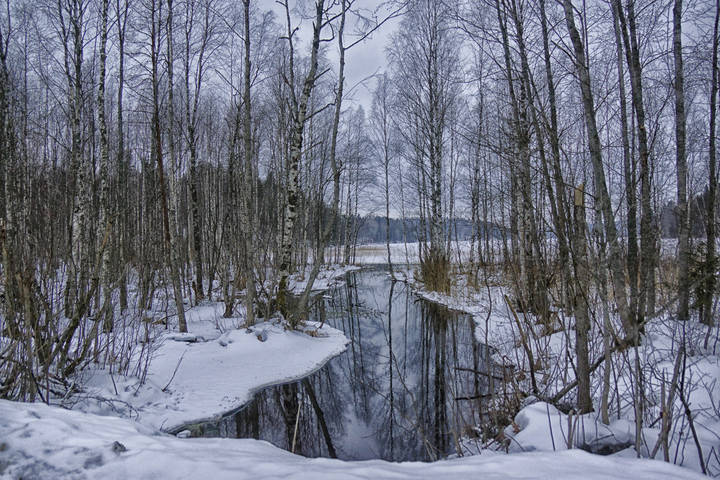 хрустальная  речка....