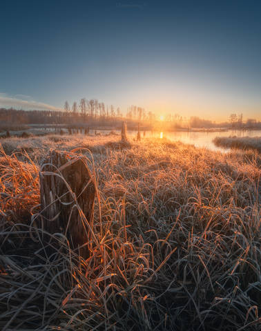 Морозное утро