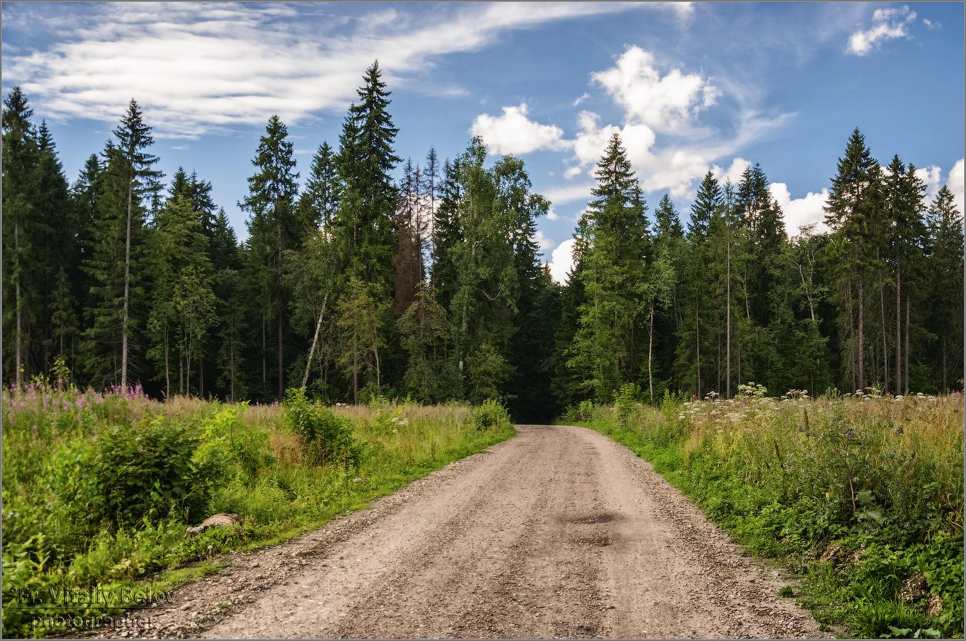 Дорога в Абрамцевский лес