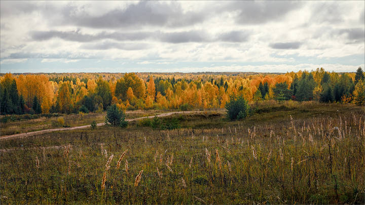Полуденные краски осени...