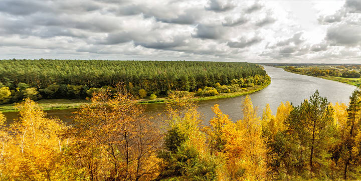 Петля Нямунаса
