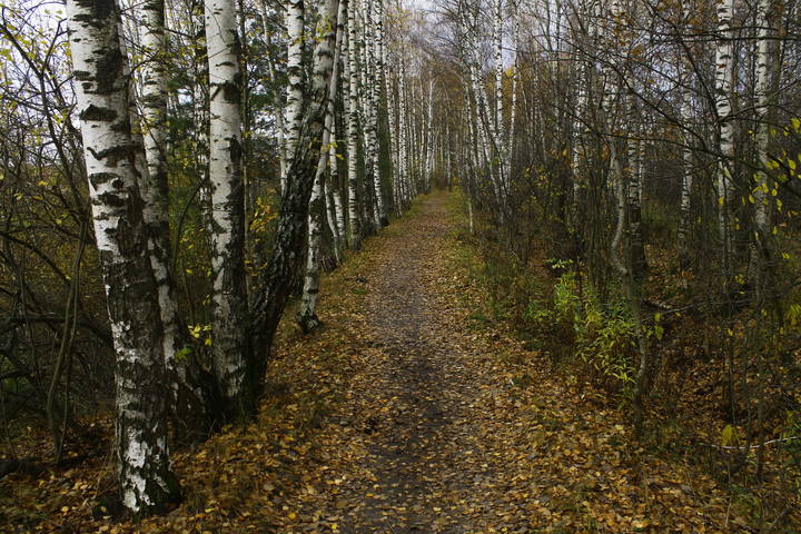 Осень