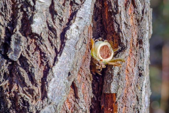 Кто обедал?