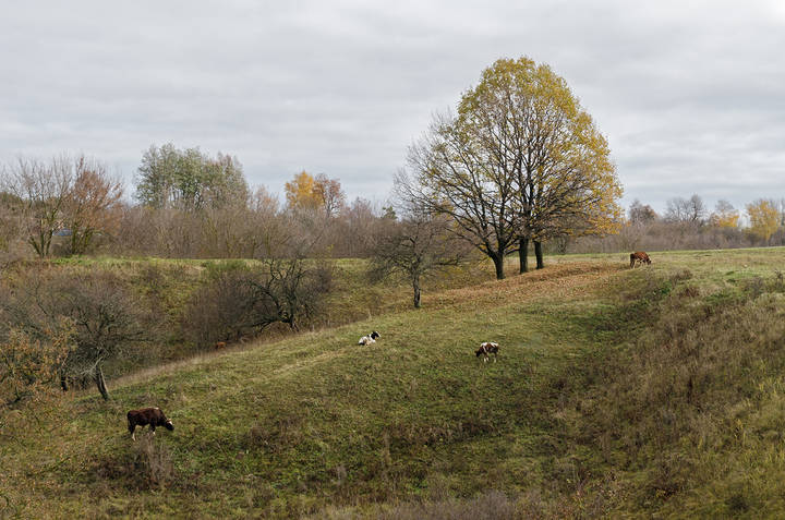 Осень в деревне