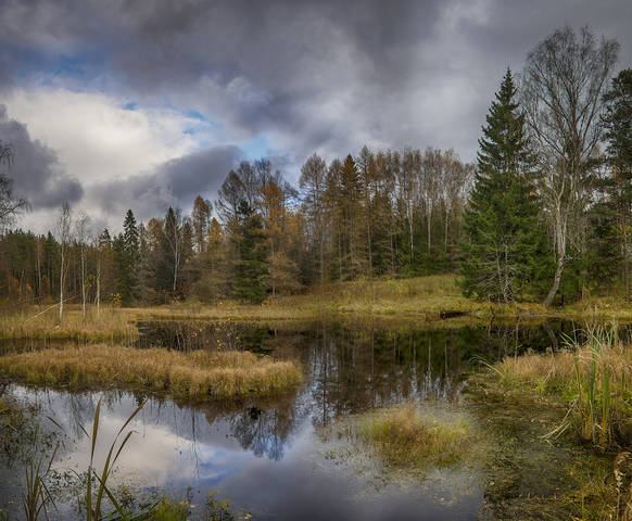 Фрагмент осени