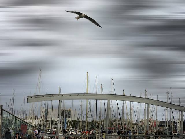 Port Barcelona